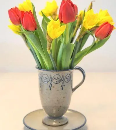 Haus-gode-tied * Нордштранд